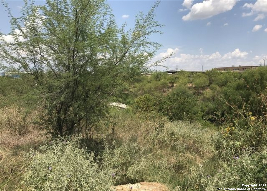 103 W Mitchell Street San Antonio TX 78204