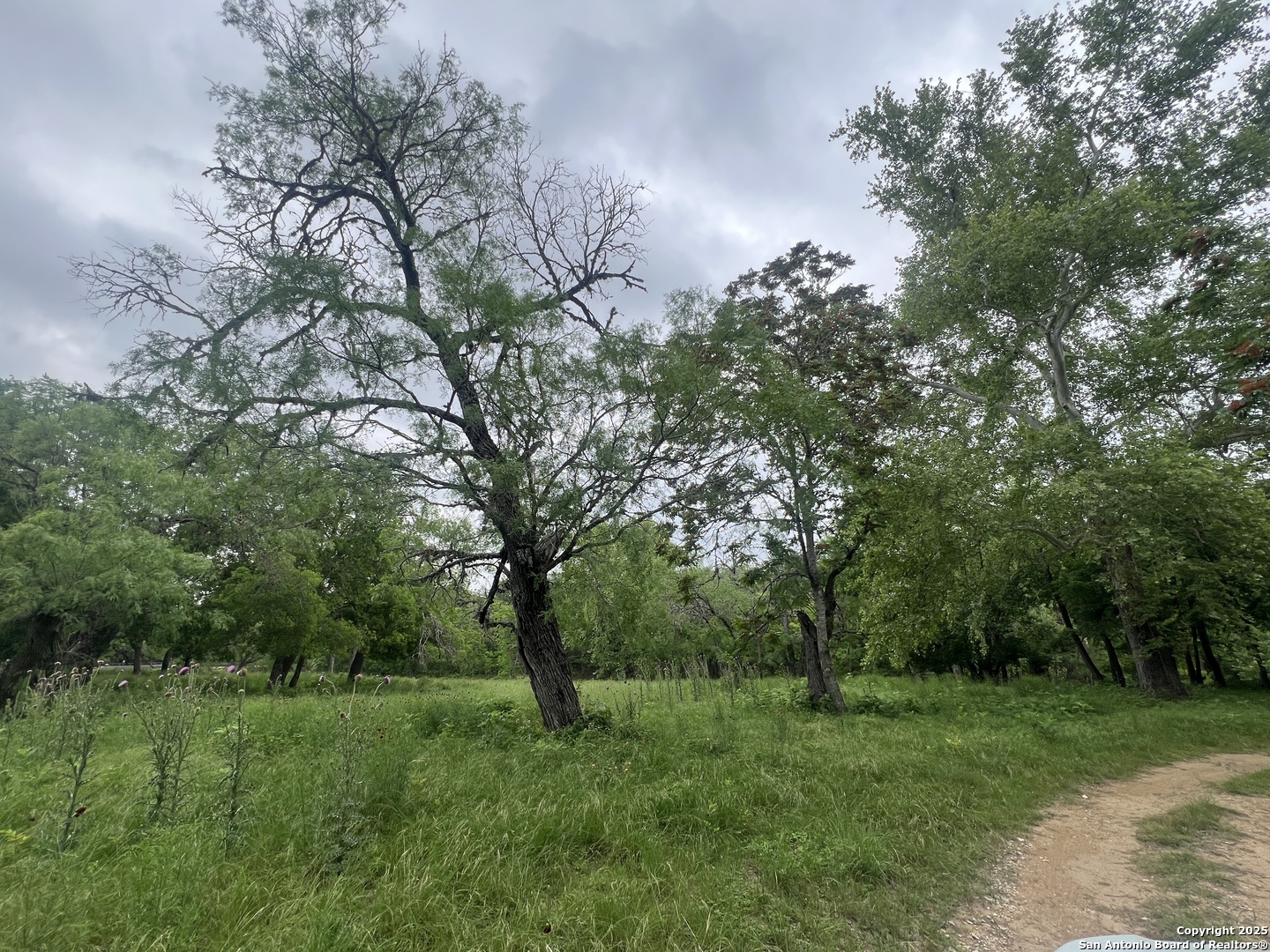 0 School St & San Antonio Boerne TX 78006