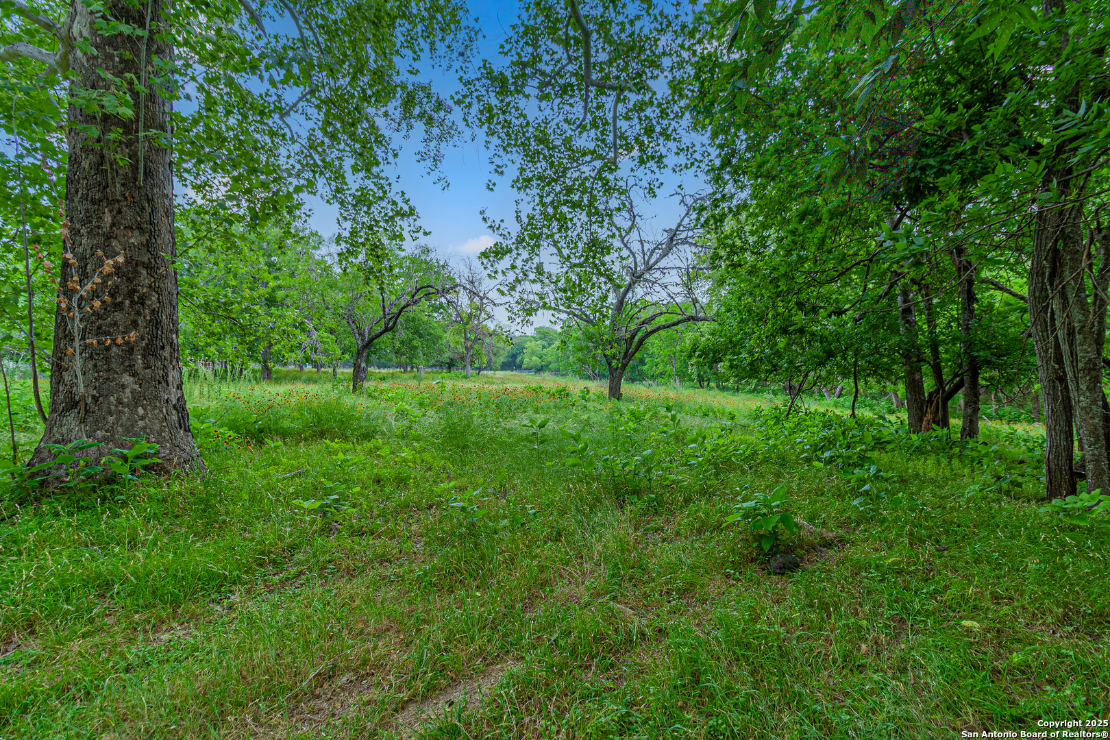 0 School St & San Antonio Boerne TX 78006