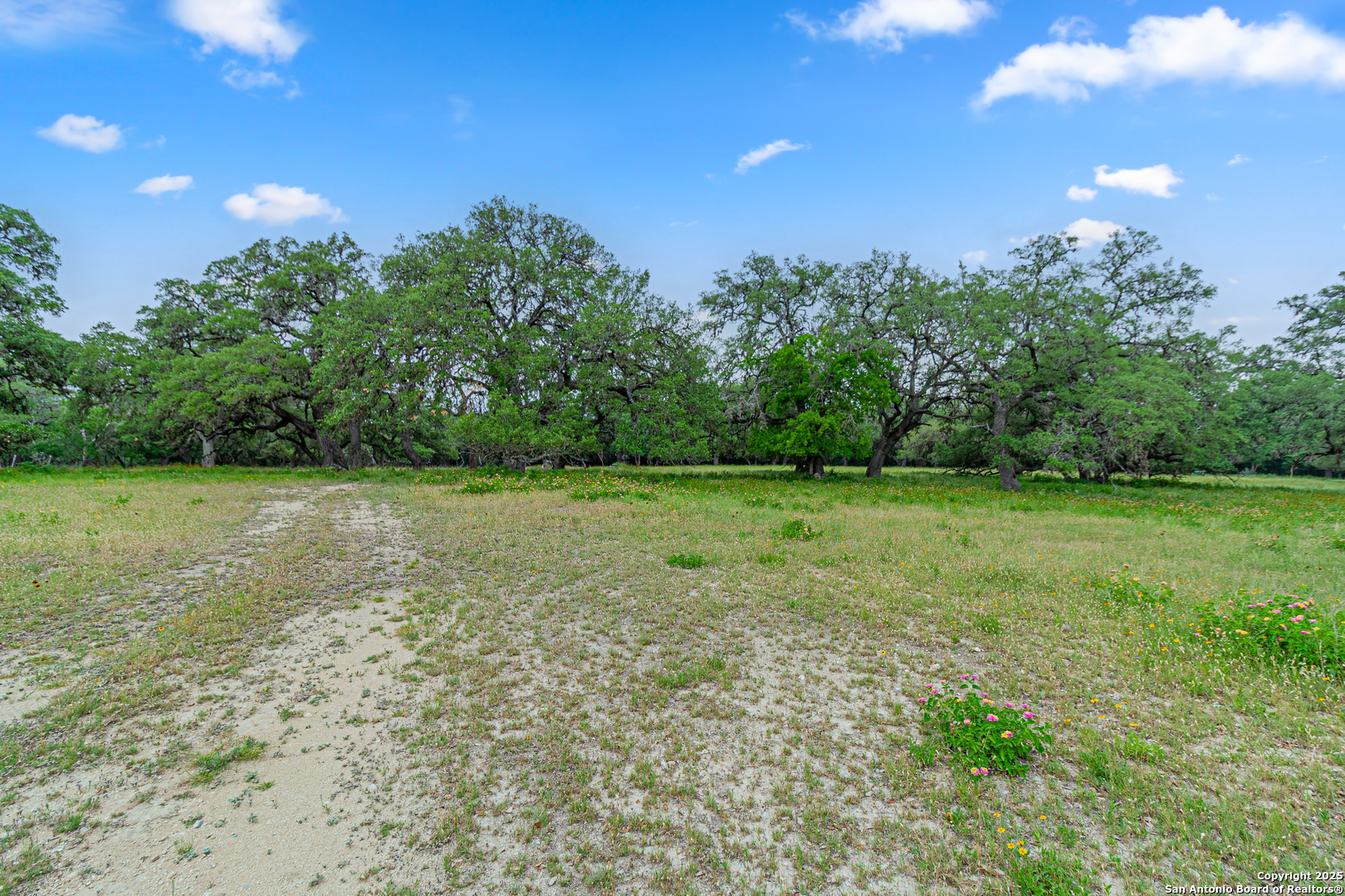 0 School St & San Antonio Boerne TX 78006