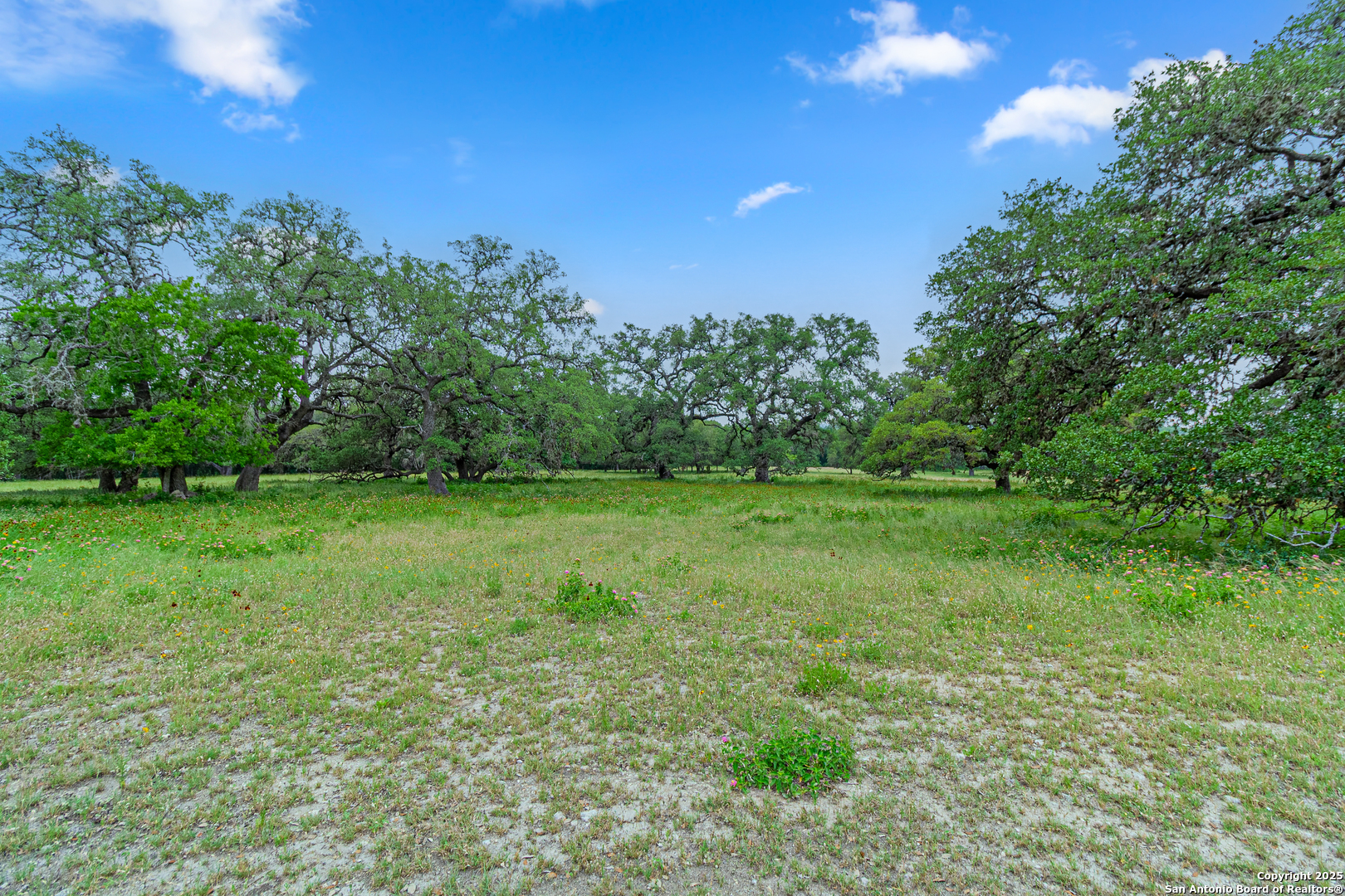 0 School St & San Antonio Boerne TX 78006