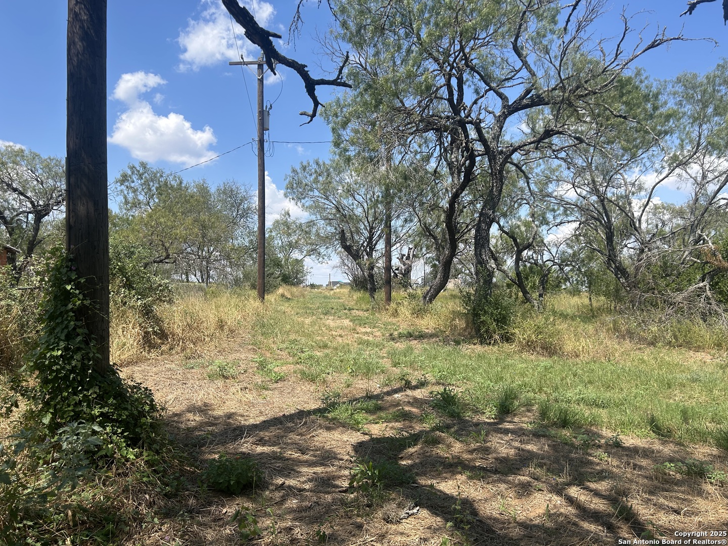 12831 Pearsall Atascosa TX 78002