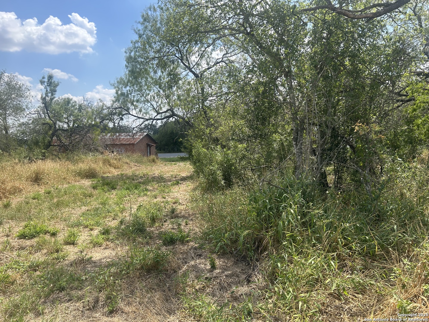 12831 Pearsall Atascosa TX 78002