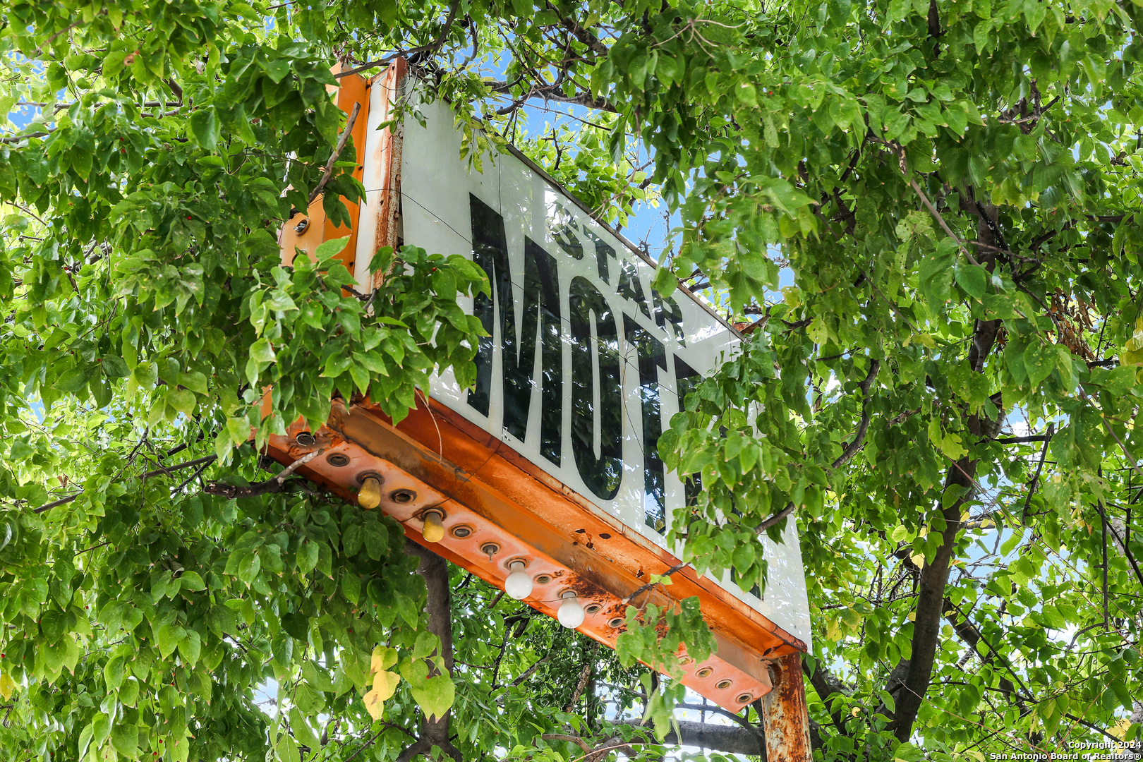3517 Nogalitos San Antonio TX 78211