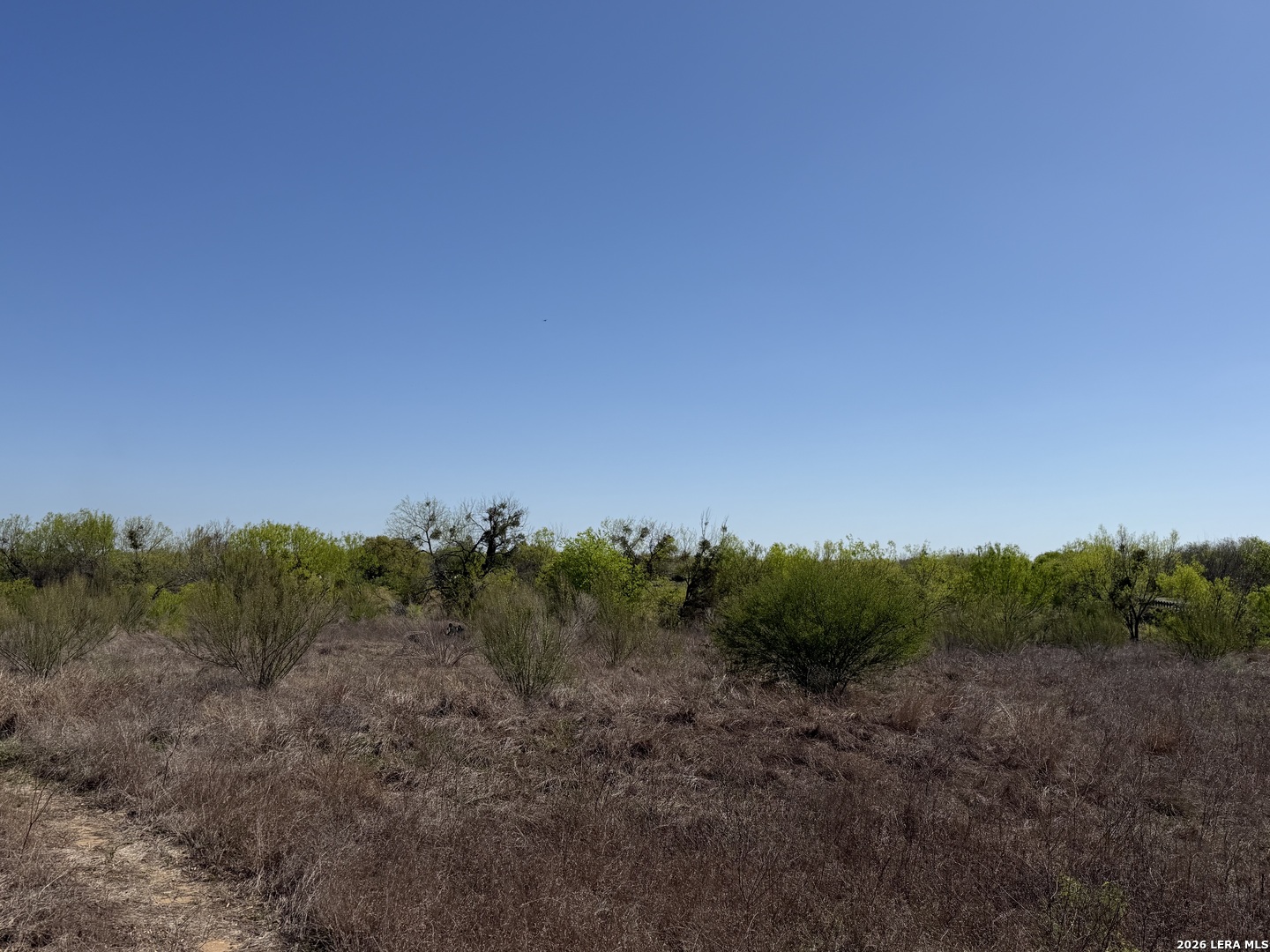 10945 Briggs Atascosa TX 78002