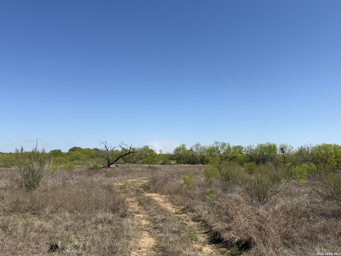 10945 Briggs Atascosa TX 78002