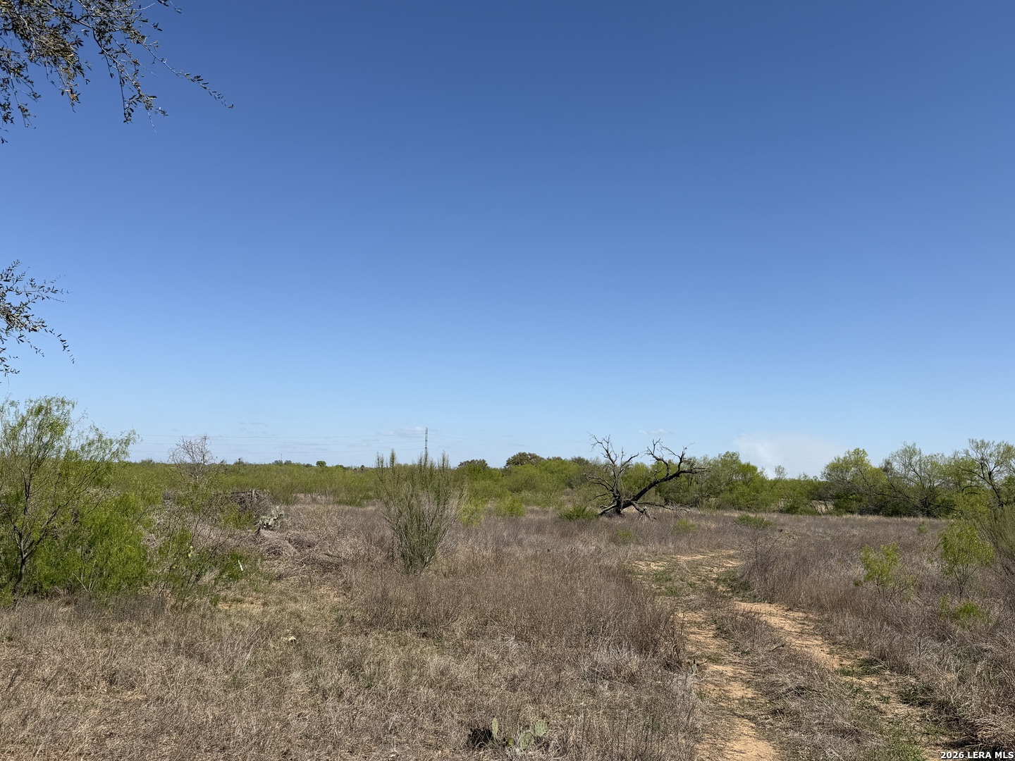 10945 Briggs Atascosa TX 78002