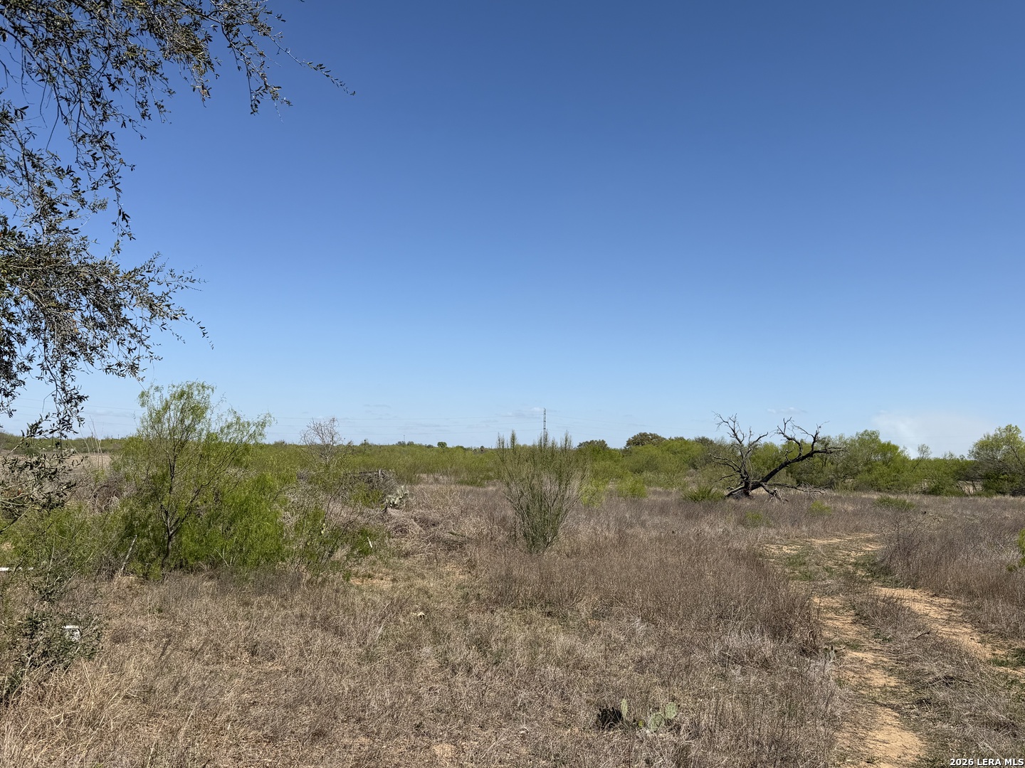 10945 Briggs Atascosa TX 78002