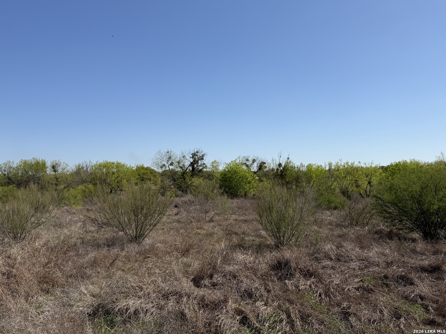 10945 Briggs Atascosa TX 78002