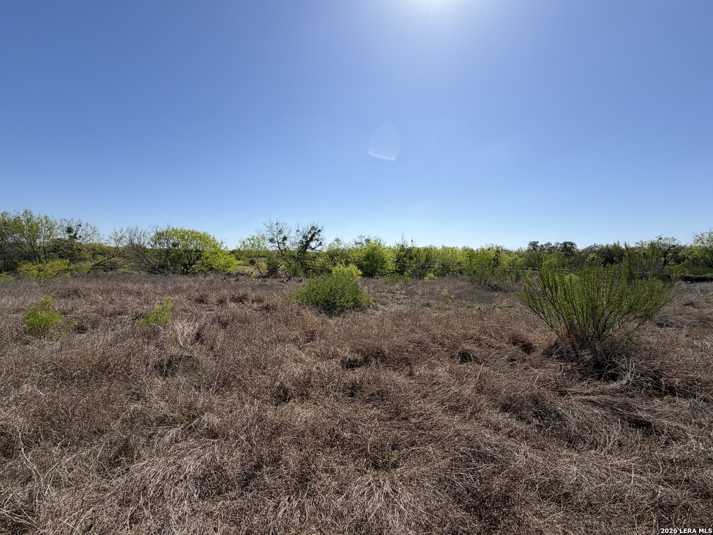 10945 Briggs Atascosa TX 78002