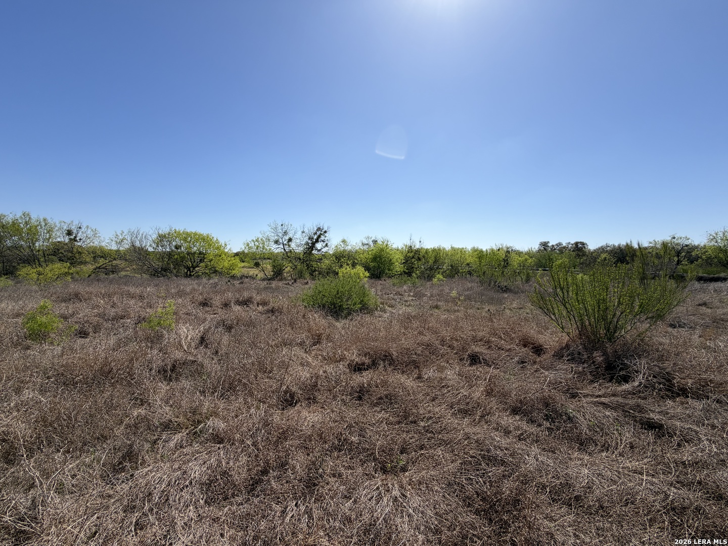 10945 Briggs Atascosa TX 78002