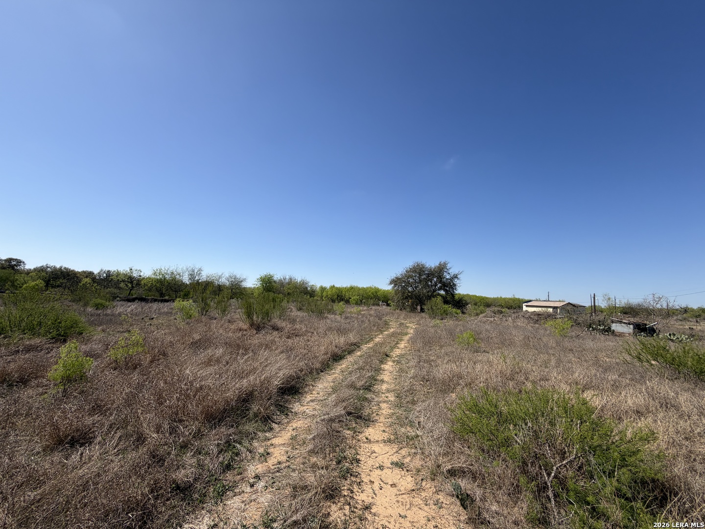 10945 Briggs Atascosa TX 78002