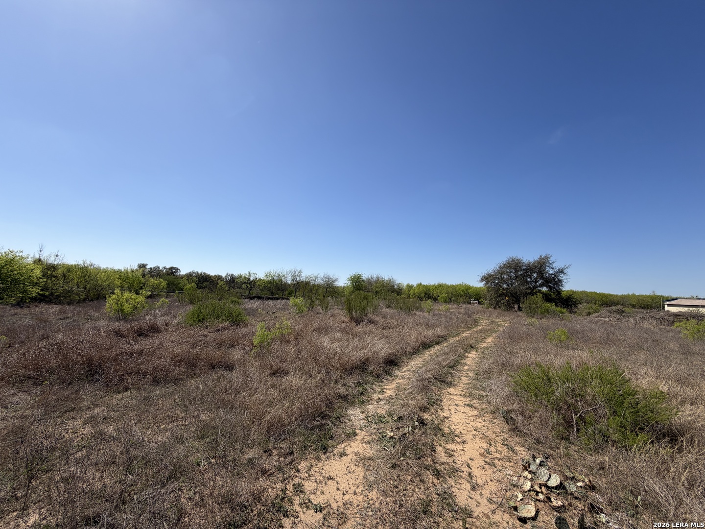 10945 Briggs Atascosa TX 78002