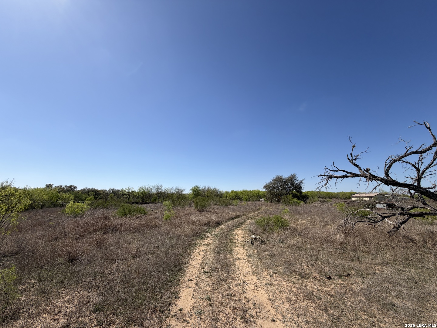 10945 Briggs Atascosa TX 78002