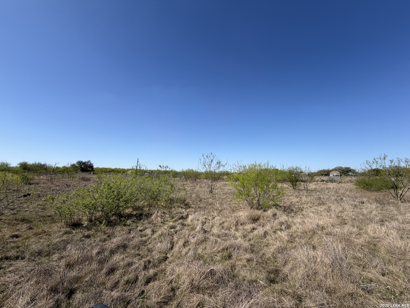 10945 Briggs Atascosa TX 78002
