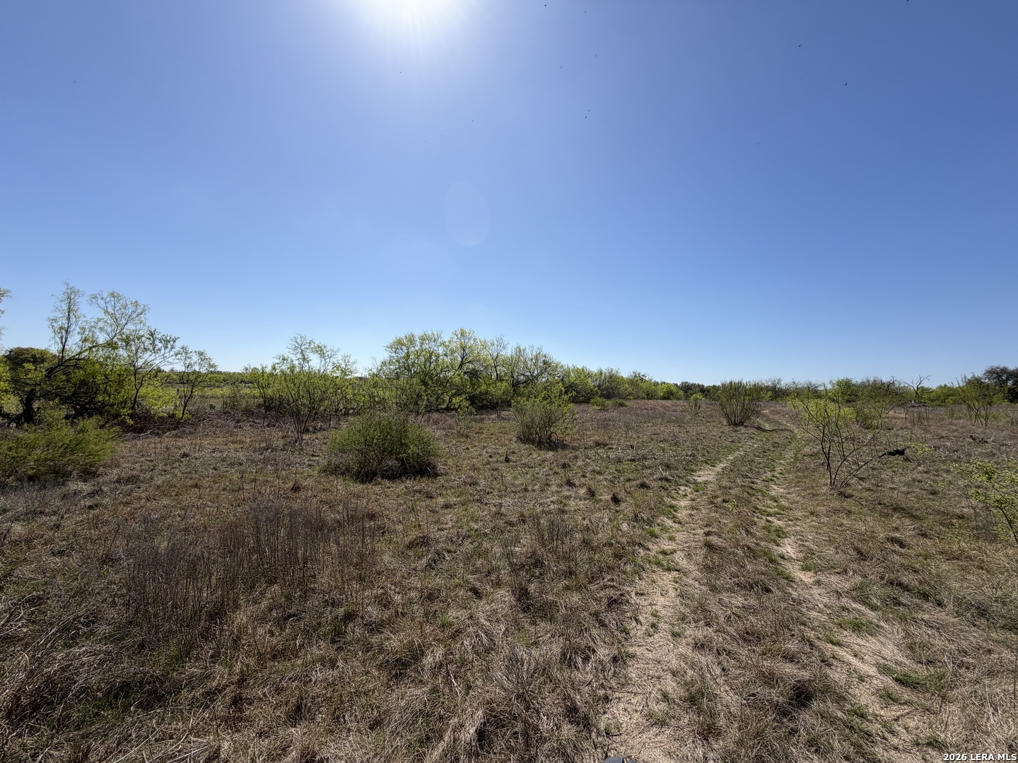 10945 Briggs Atascosa TX 78002