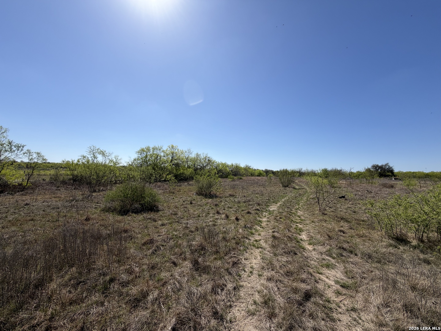 10945 Briggs Atascosa TX 78002
