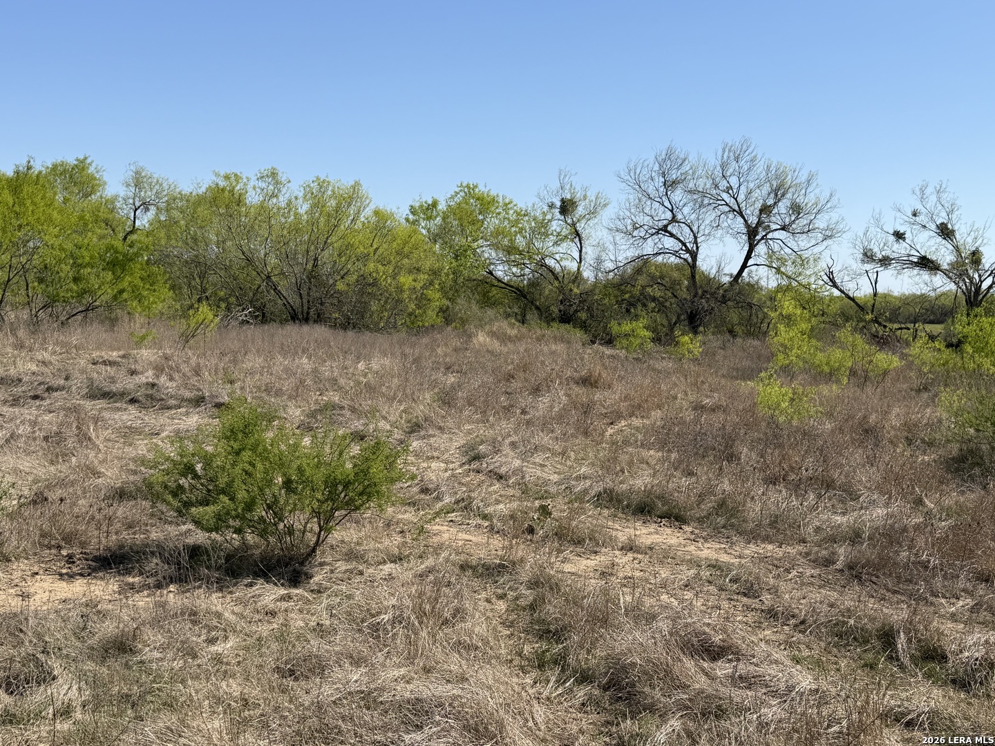 10945 Briggs Atascosa TX 78002