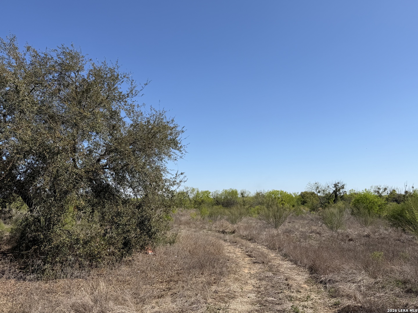 10945 Briggs Atascosa TX 78002