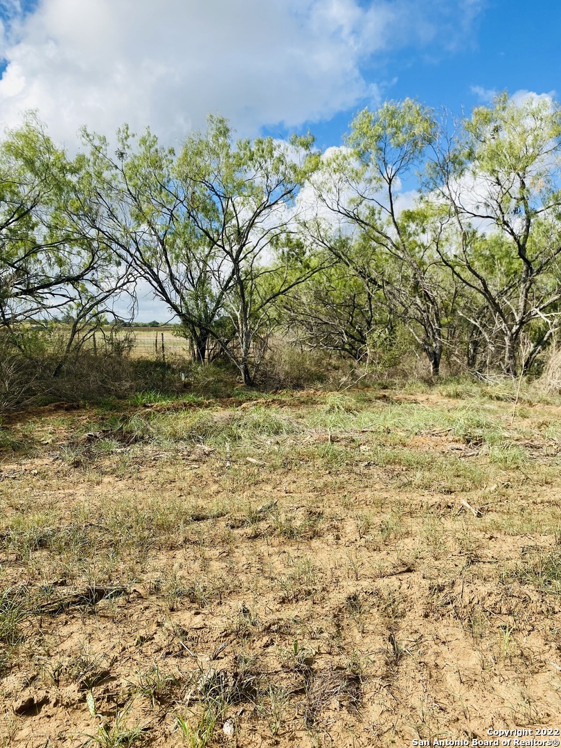 Tbd Highway 16 Poteet TX 78065