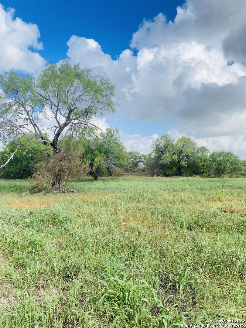 Tbd Highway 16 Poteet TX 78065