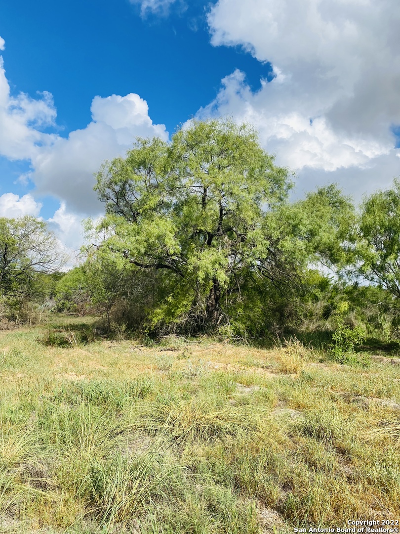 Tbd Highway 16 Poteet TX 78065