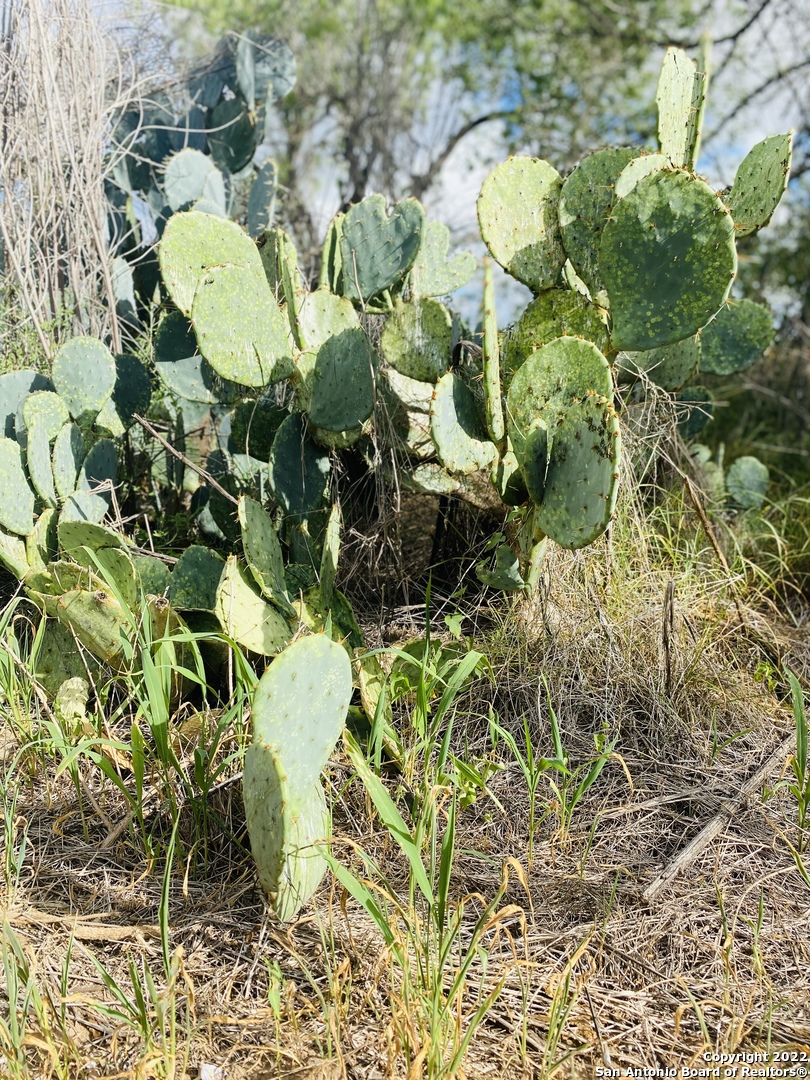 Tbd Highway 16 Poteet TX 78065