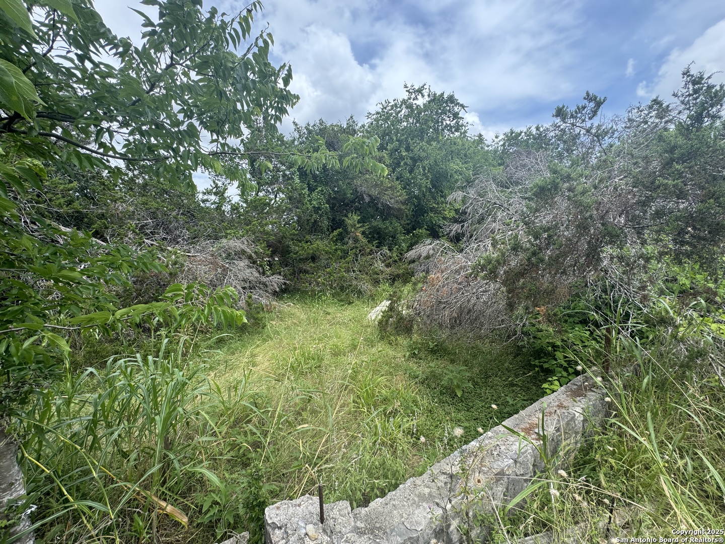 Lot 10 Browning San Antonio TX 78260