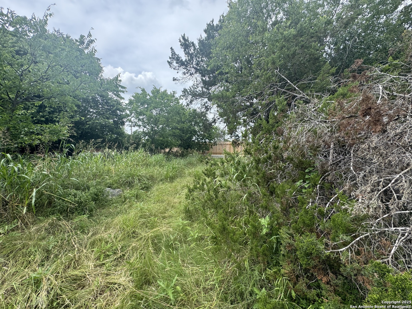 Lot 10 Browning San Antonio TX 78260