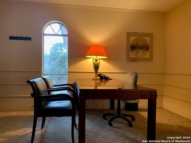 1131 Babcock Road Balcones Heights TX 78201