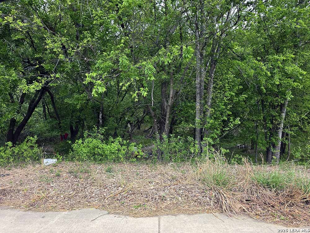 1900 Hunt Lane San Antonio TX 78227