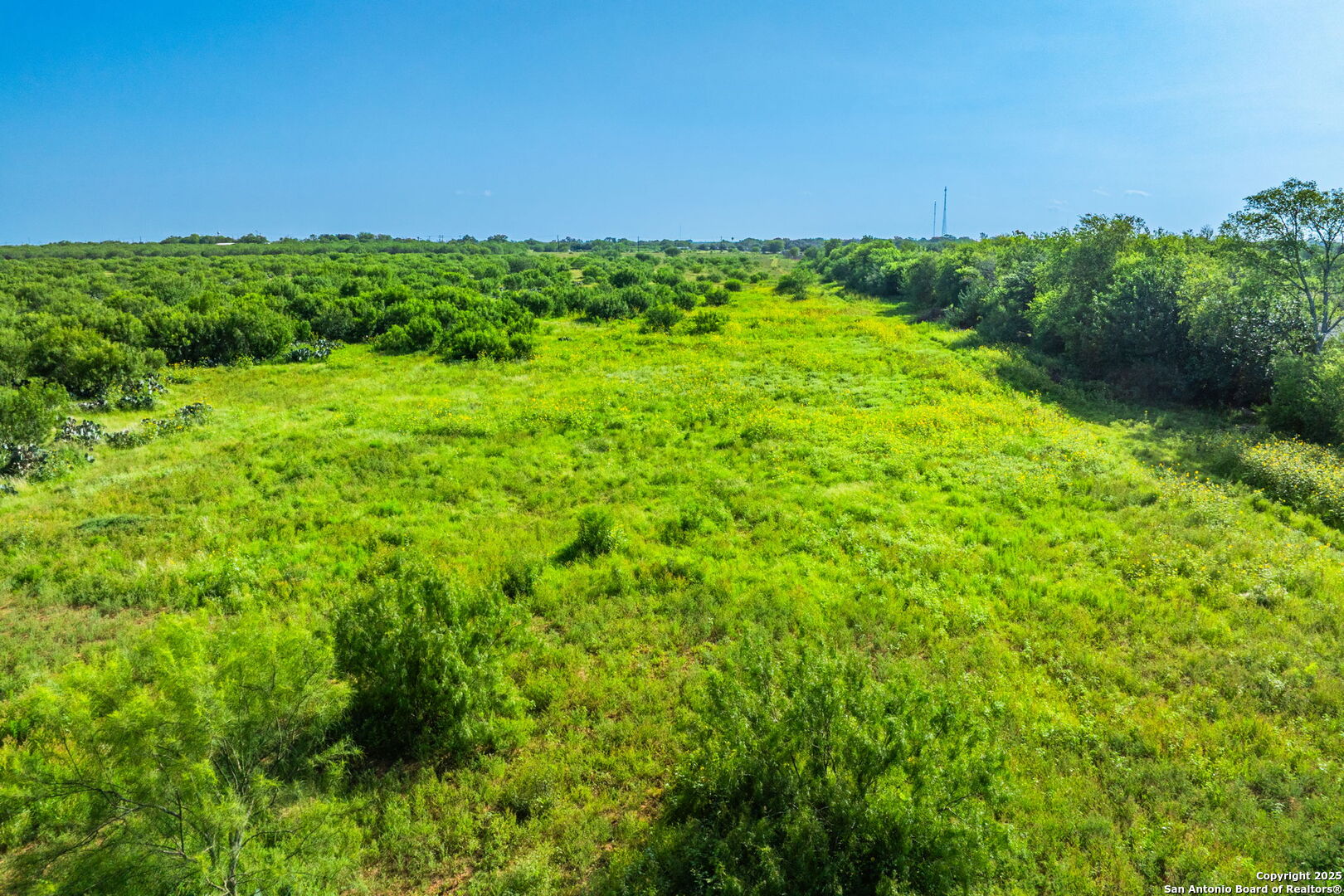 3911 County Road 1000 Pearsall TX 78061