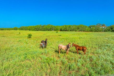 3911 County Road 1000 Pearsall TX 78061