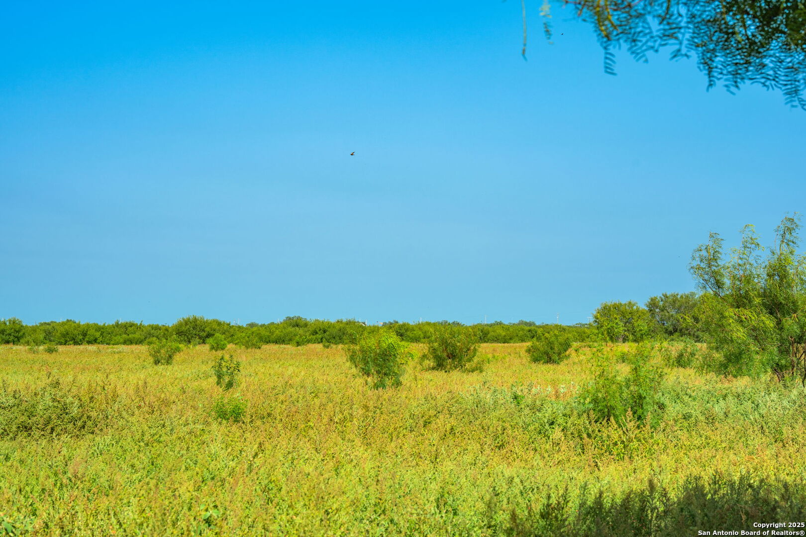 3911 County Road 1000 Pearsall TX 78061