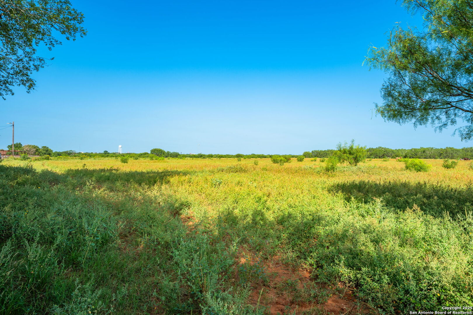 3911 County Road 1000 Pearsall TX 78061