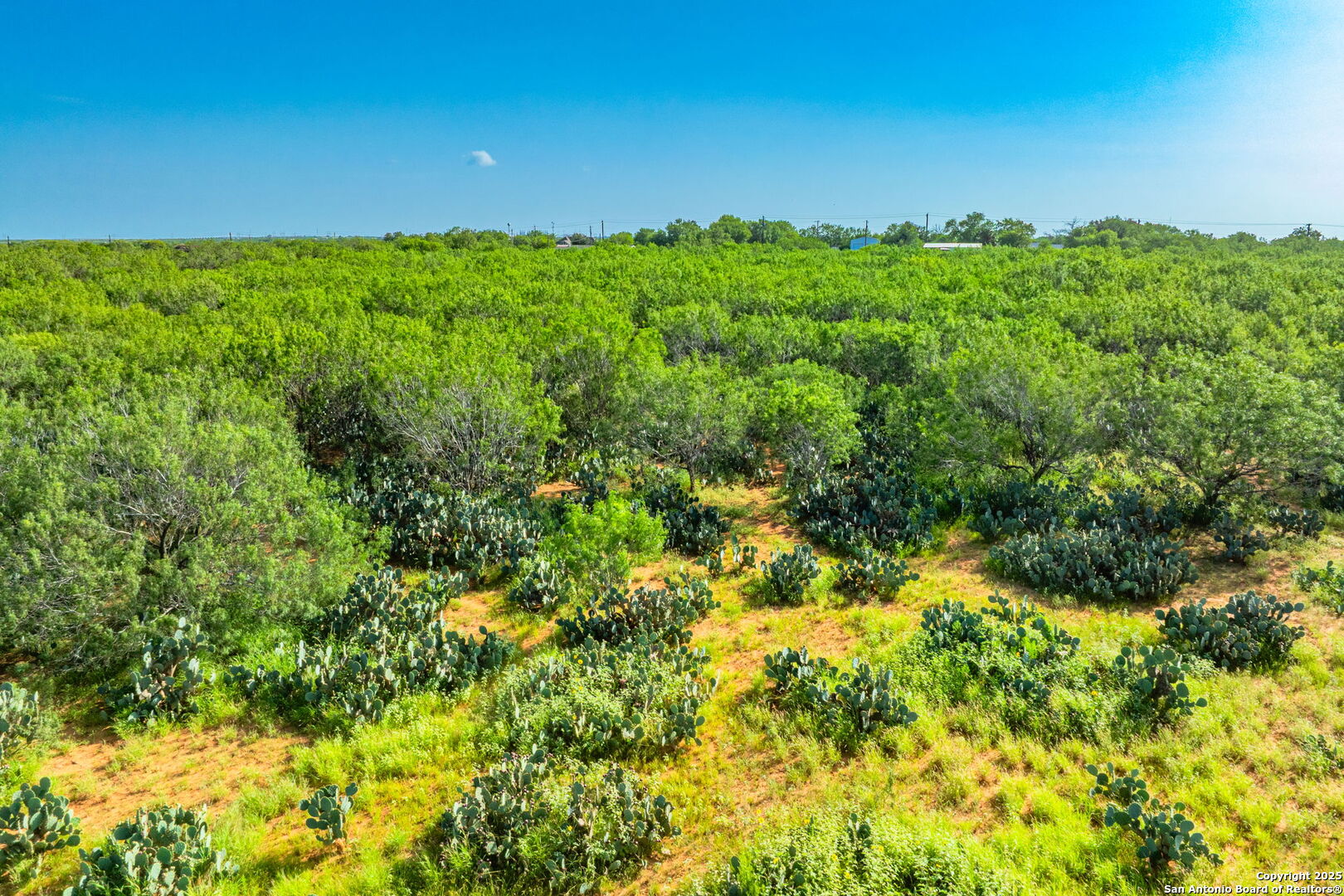 3911 County Road 1000 Pearsall TX 78061