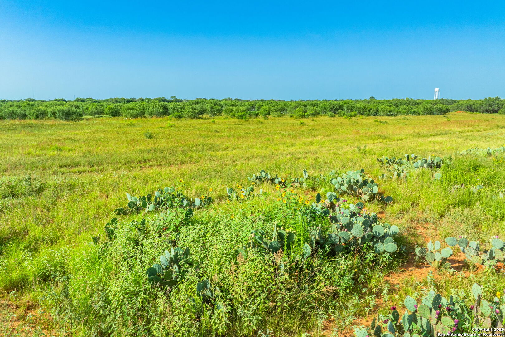 3911 County Road 1000 Pearsall TX 78061