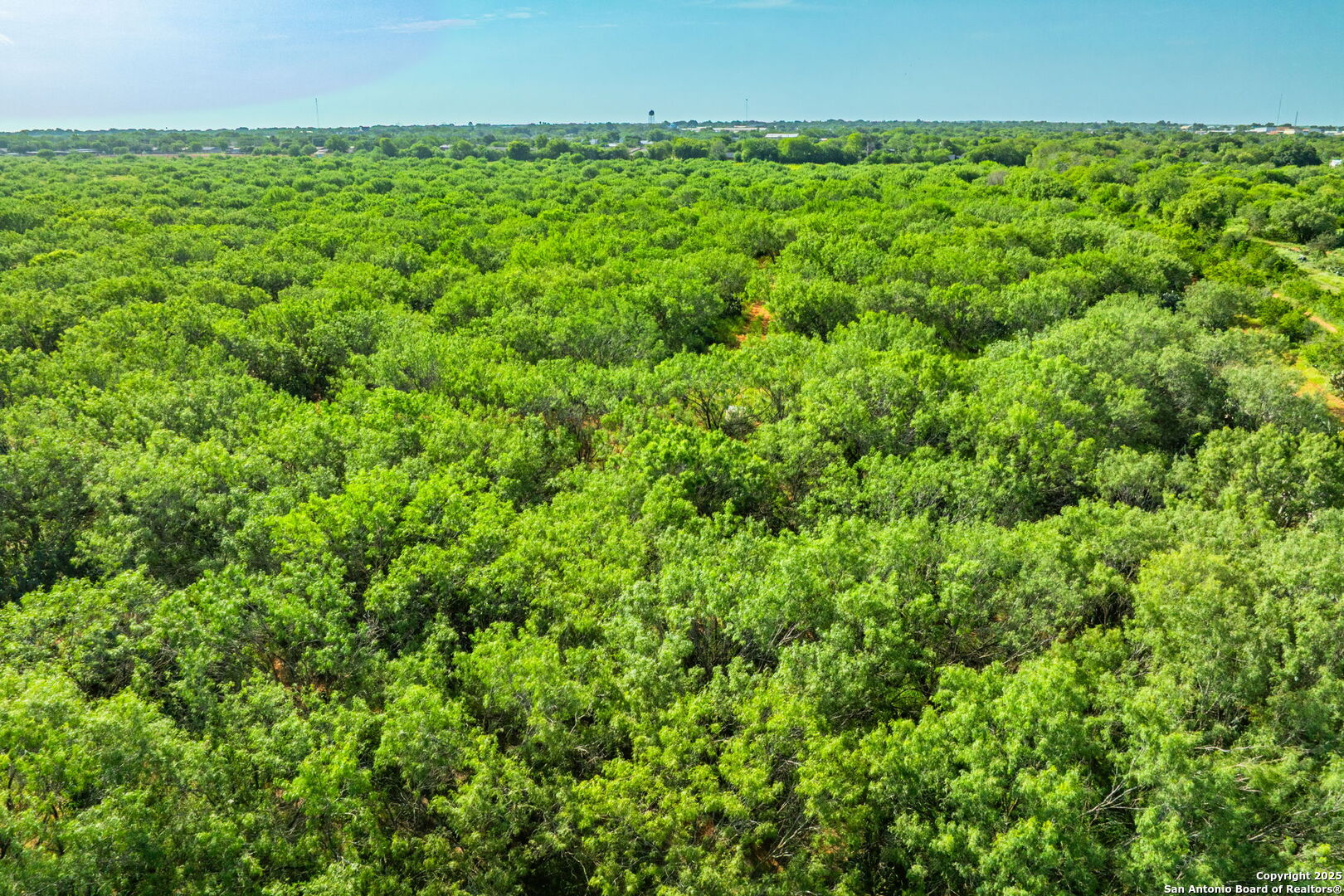 3911 County Road 1000 Pearsall TX 78061