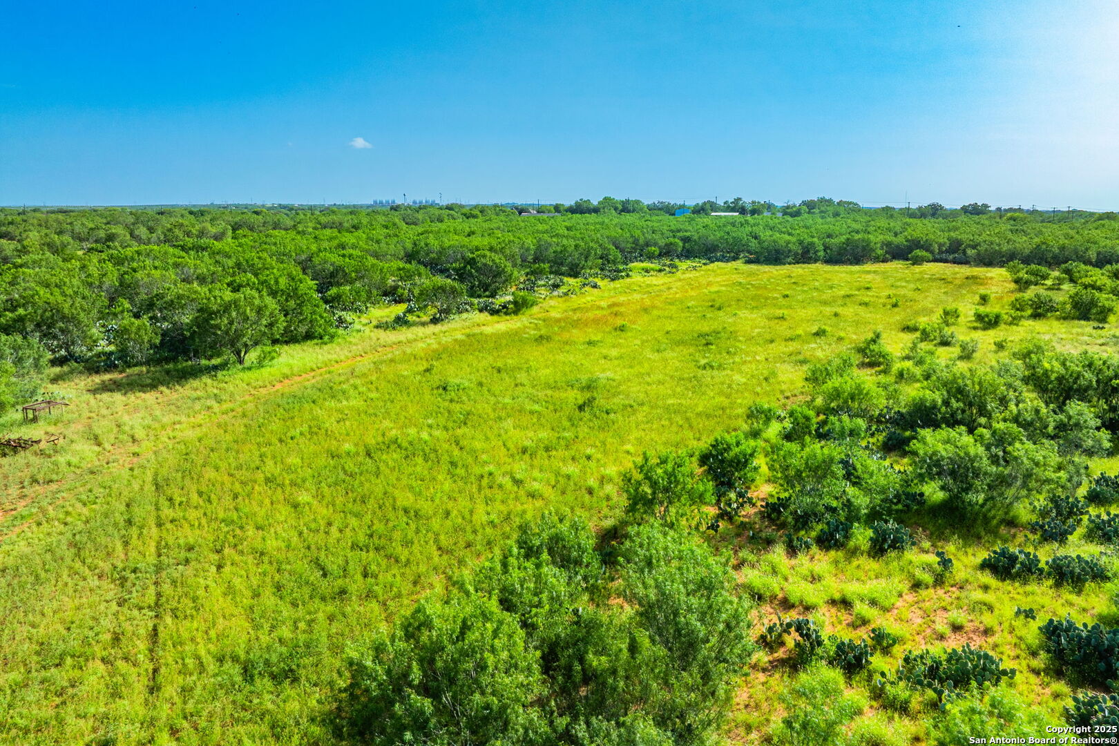 3911 County Road 1000 Pearsall TX 78061