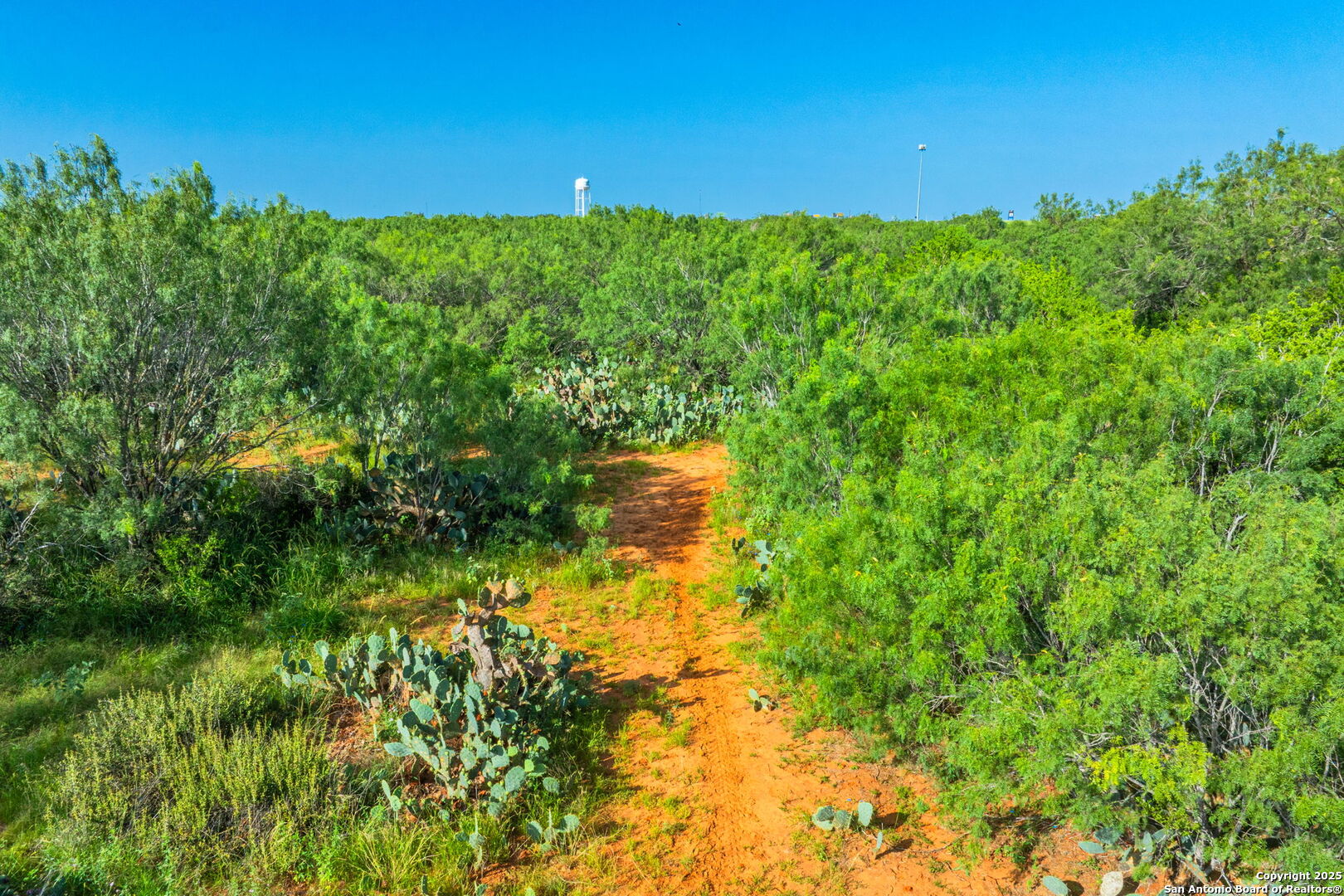 3911 County Road 1000 Pearsall TX 78061