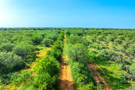 3911 County Road 1000 Pearsall TX 78061