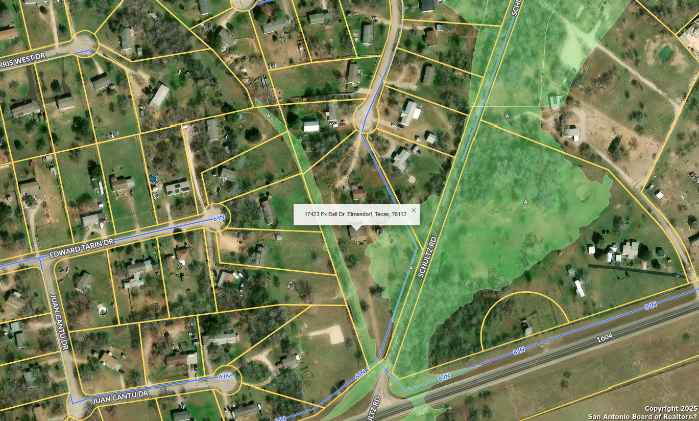 17423 Fx Ball Elmendorf TX 78112