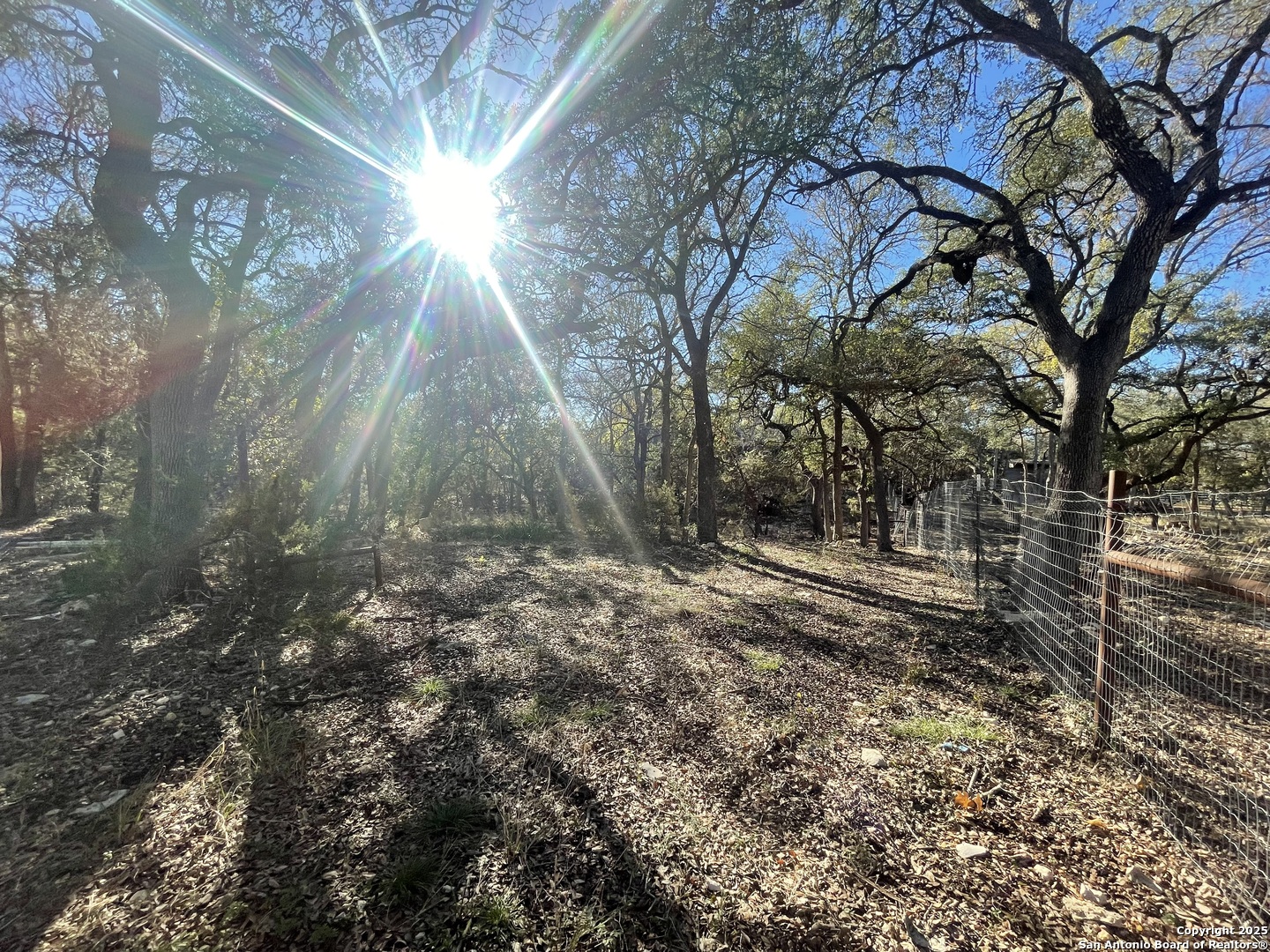 30685 Rice Bulverde TX 78163
