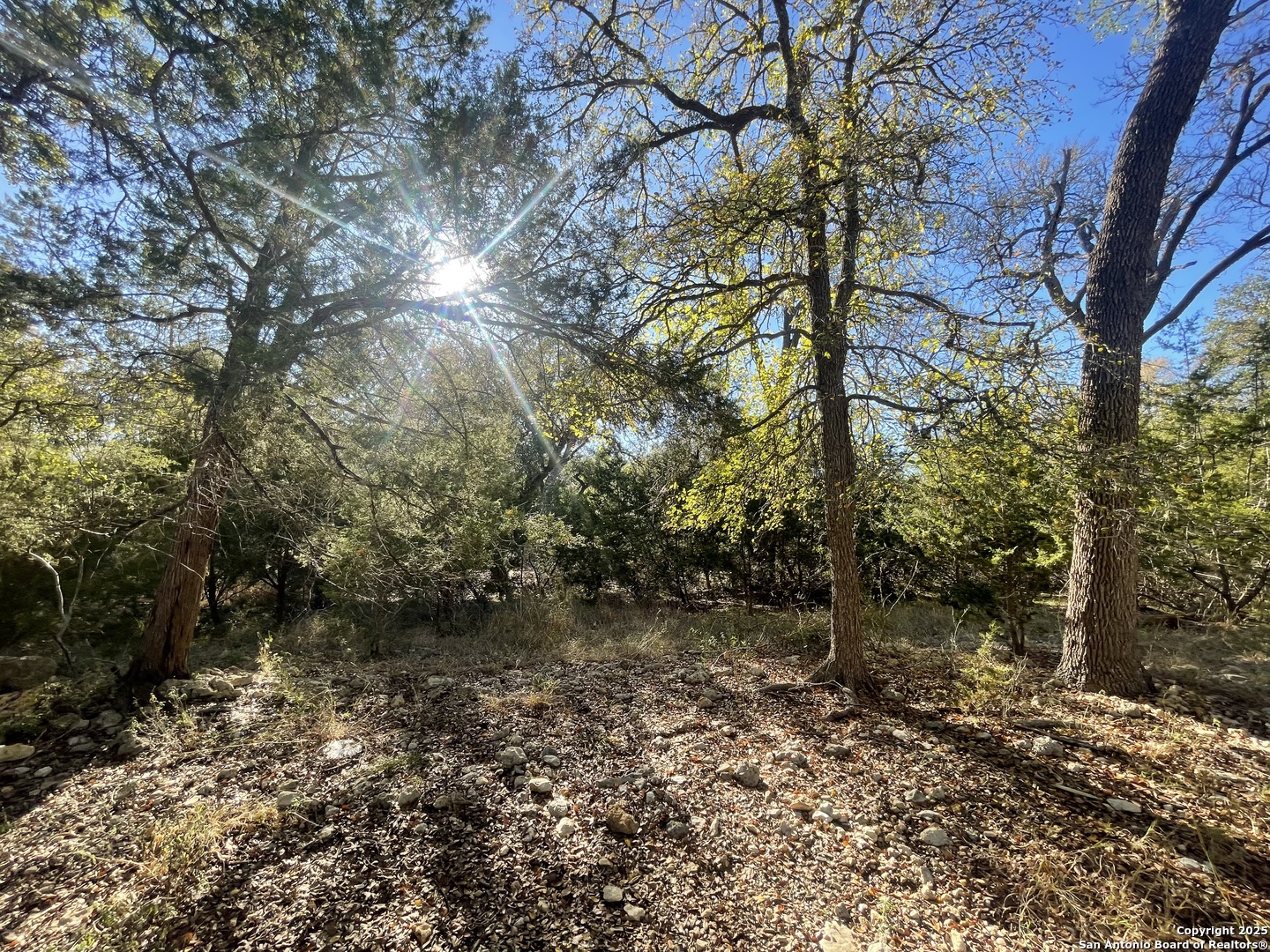 30685 Rice Bulverde TX 78163