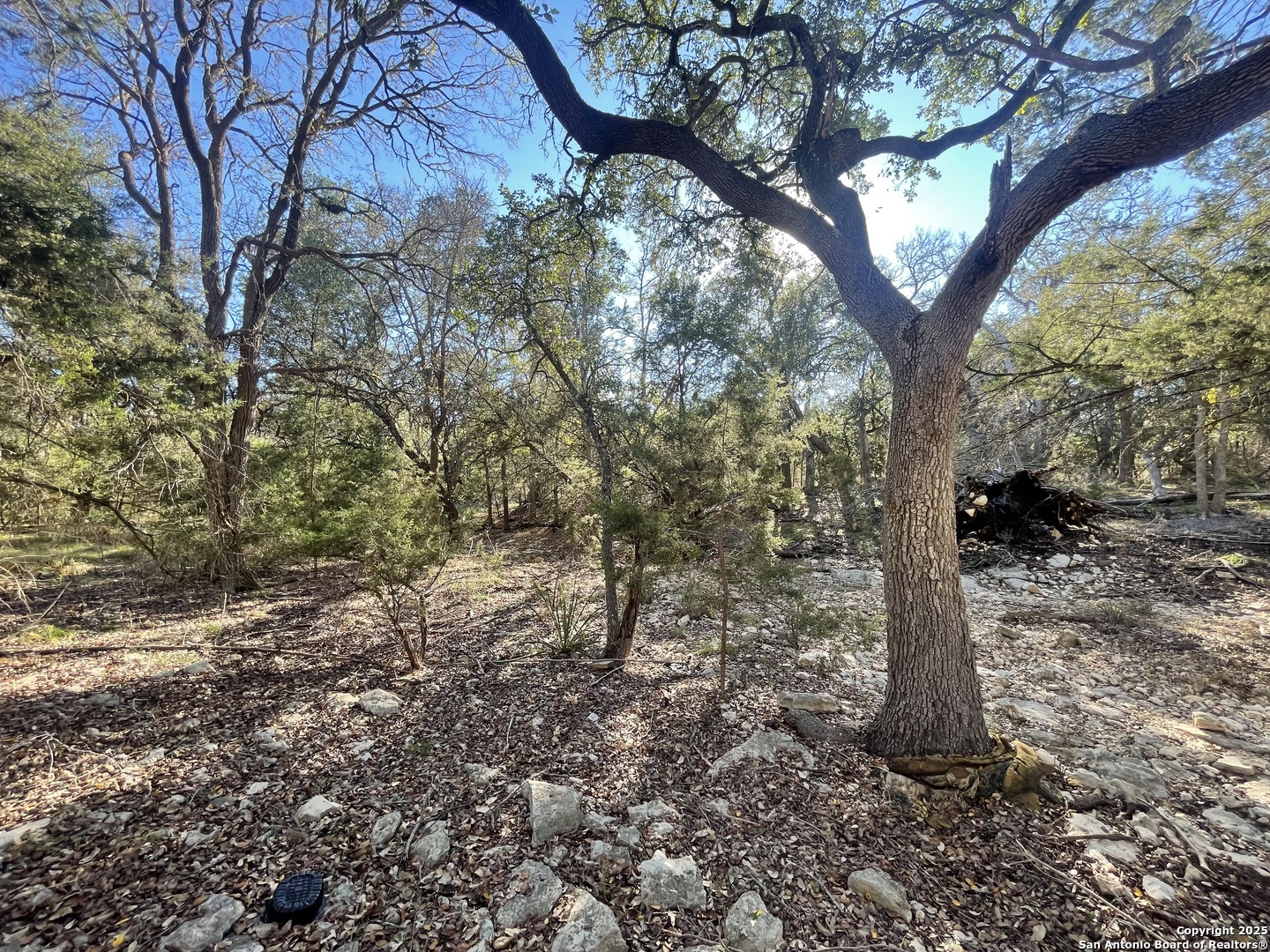 30685 Rice Bulverde TX 78163