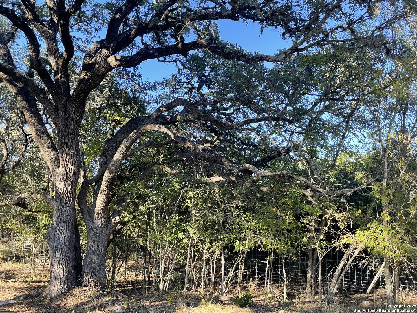 30685 Rice Bulverde TX 78163