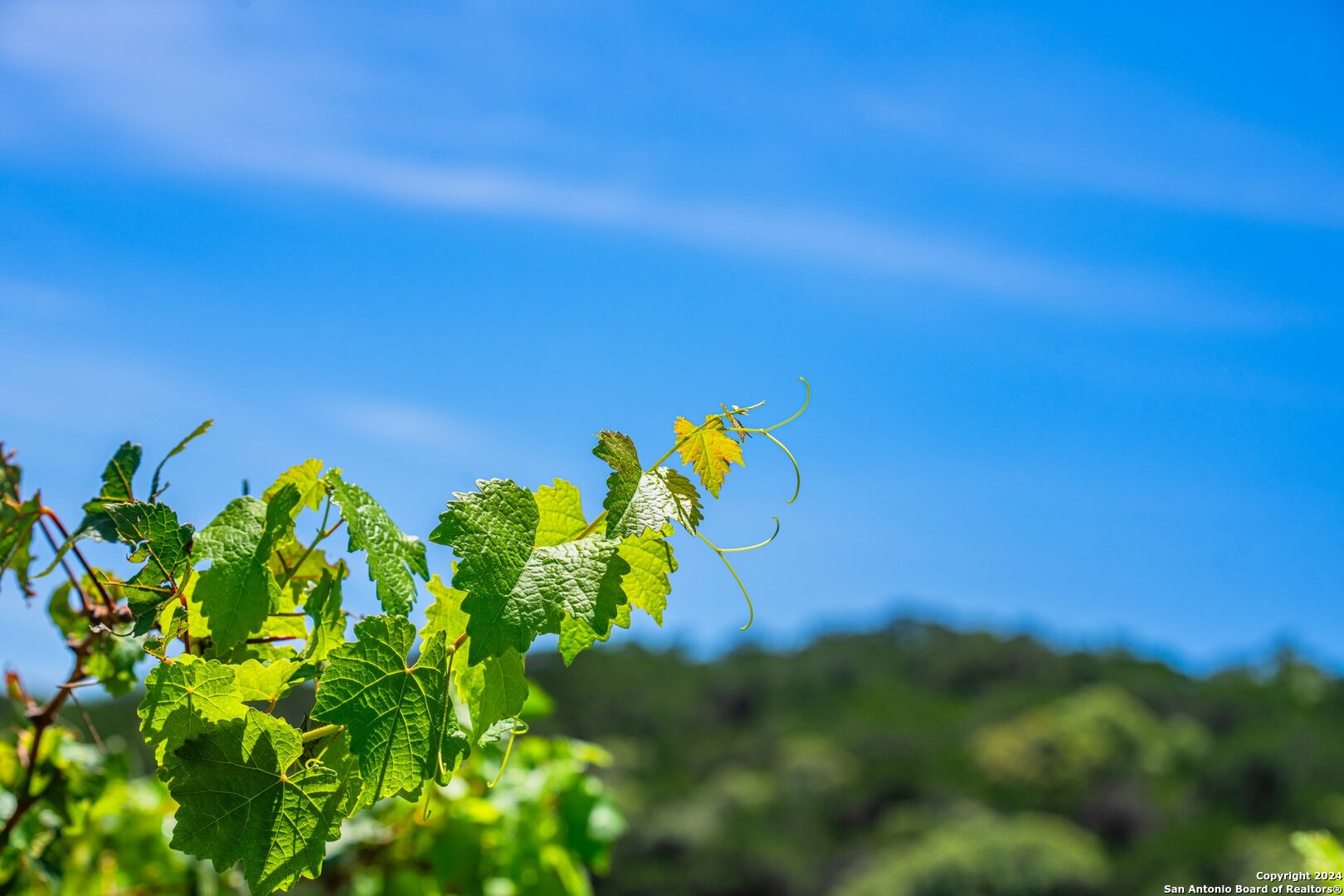 5081 Bandera Highway Camp Verde TX 78010