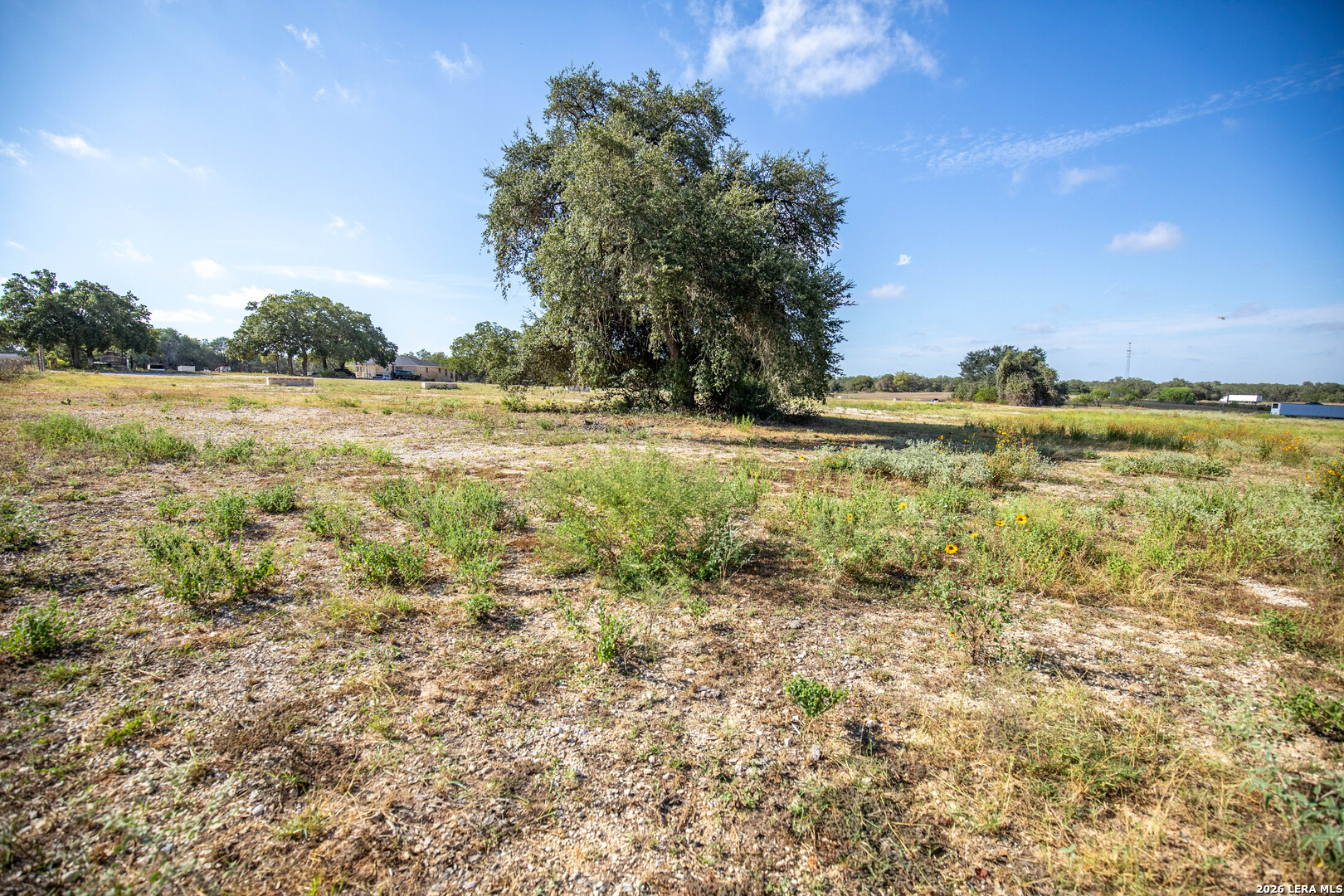 23383 Mathis Elmendorf TX 78112