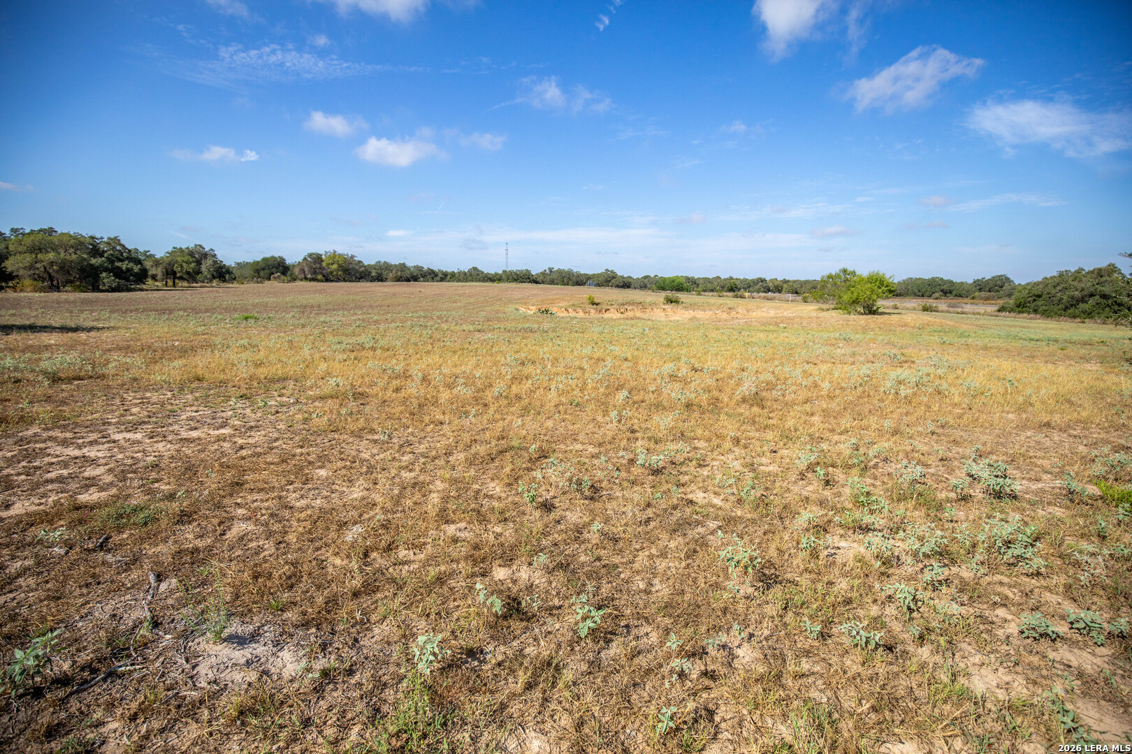 23383 Mathis Elmendorf TX 78112