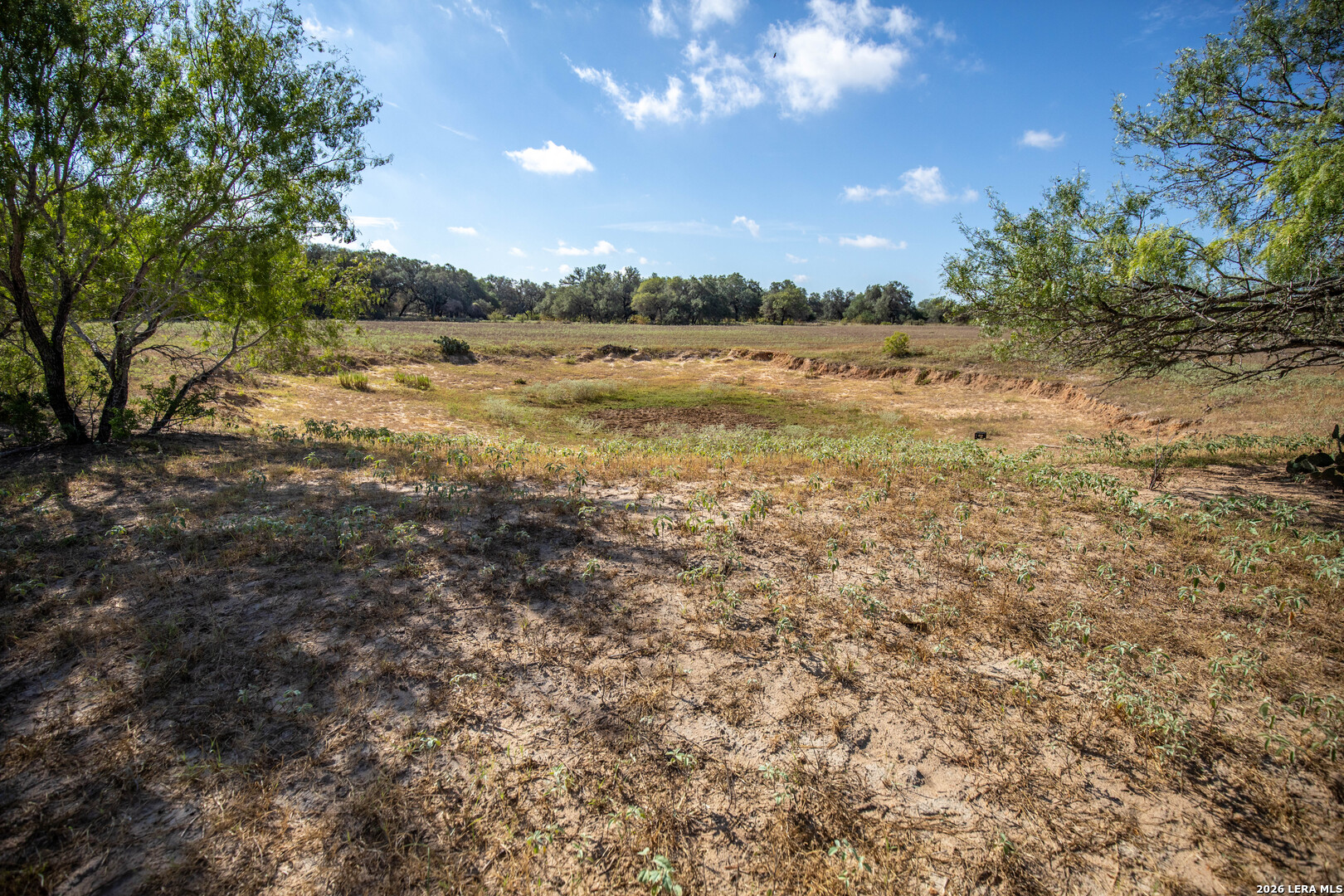 23383 Mathis Elmendorf TX 78112